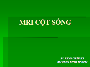 02082013_MRI_CotSong_BsHa